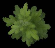 ../../../../../../../Desktop/市場(chǎng)營(yíng)銷/2018/快訊/Robin%20PSI/06