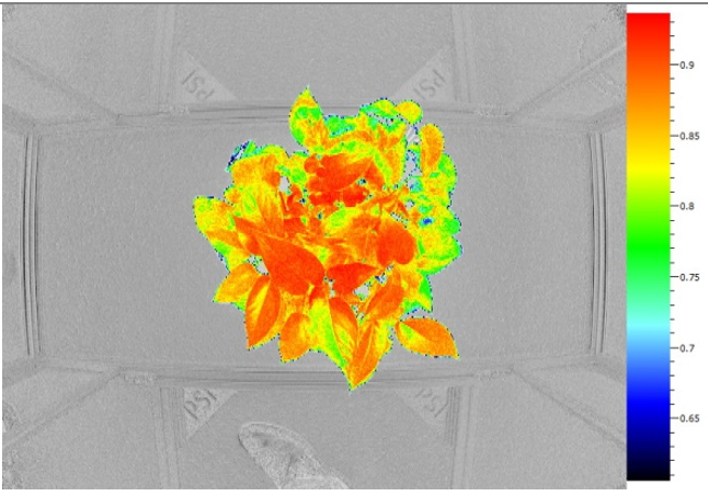 微信截圖_20220610175522.png 微信截圖_20220610175522.png