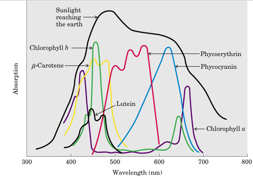 微信截圖_20220610173307.png 微信截圖_20220610173307.png
