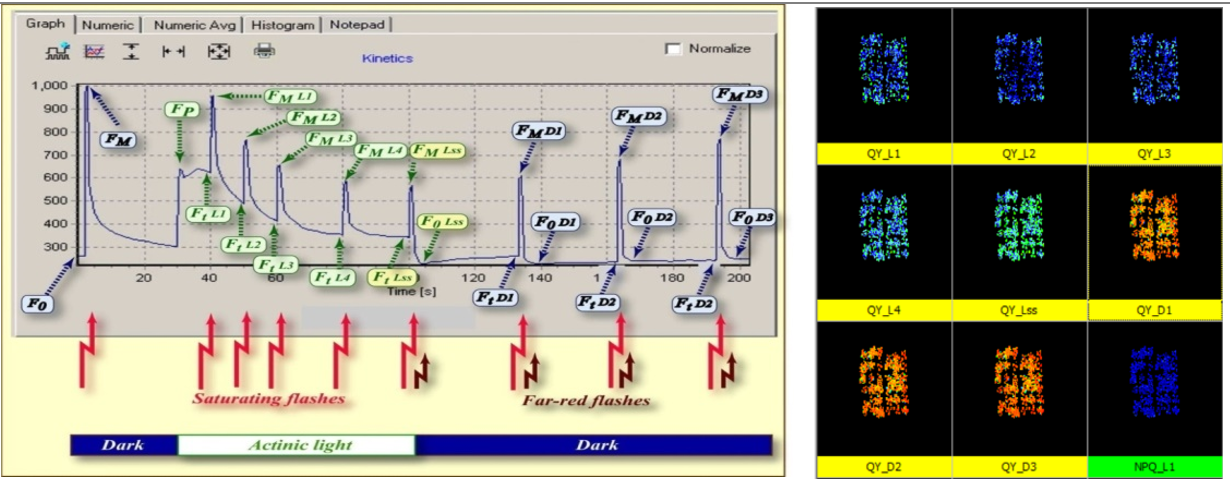 微信截圖_20220610173346.png 微信截圖_20220610173346.png