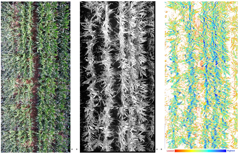 微信截圖_20220104162417.png 微信截圖_20220104162417.png