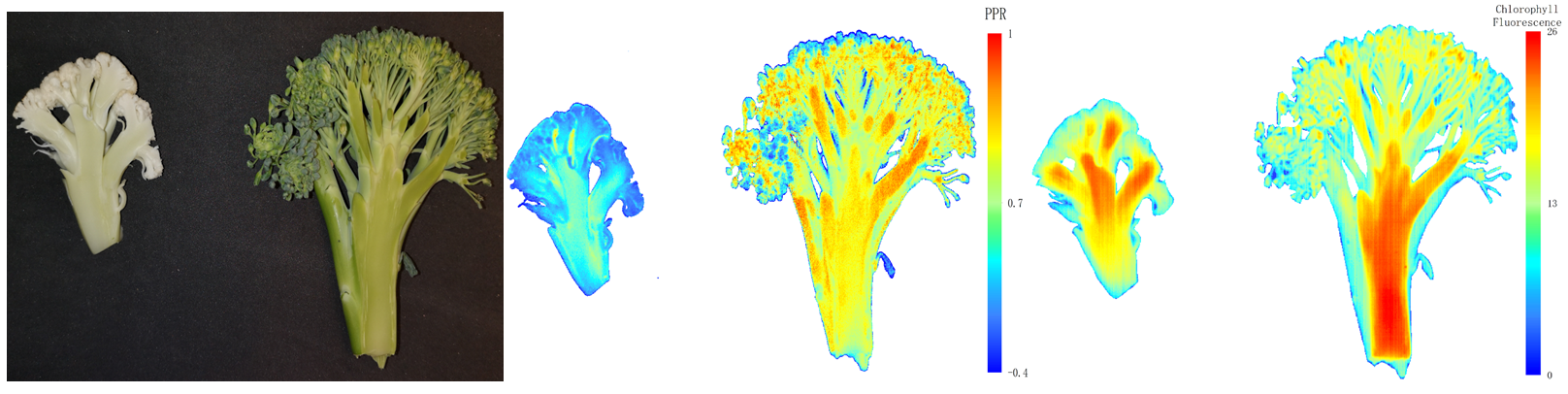 微信截圖_20220507152853.png 微信截圖_20220507152853.png