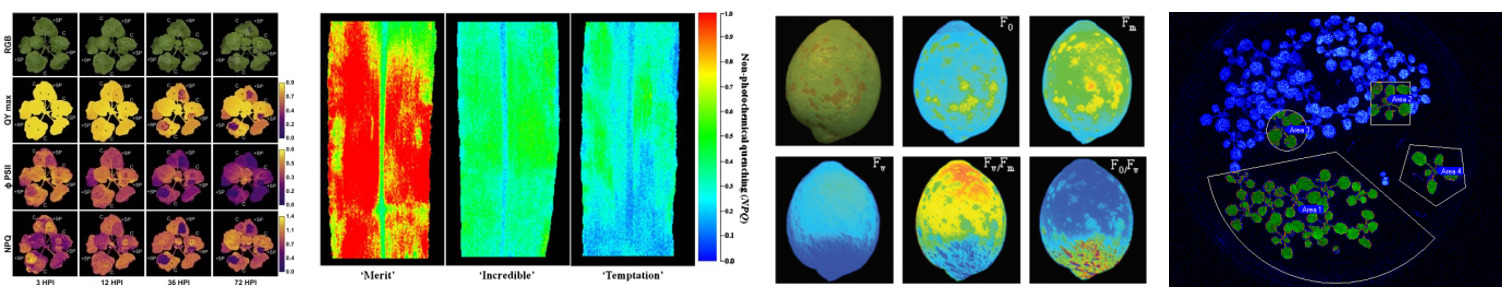 微信截圖_20220610173416.png 微信截圖_20220610173416.png