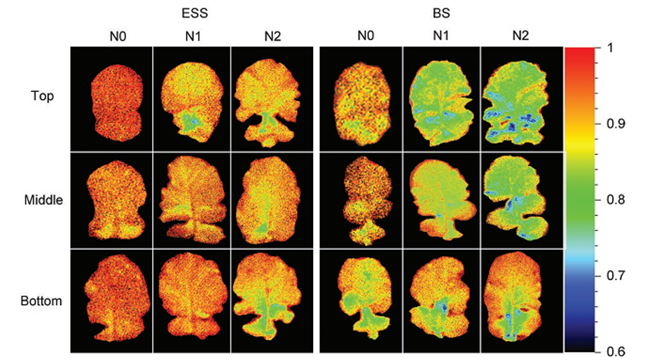 微信截圖_20220613142810.png 微信截圖_20220613142810.png