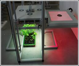 FluorCam大型植物多光譜熒光成像平臺