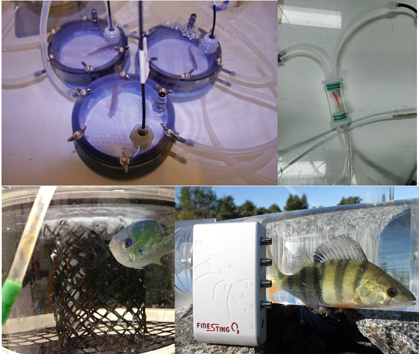 微信截圖_20220310114805.png 微信截圖_20220310114805.png