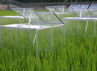 OTC-Auto原位（in-situ）群落光合-呼吸監(jiān)測系統(tǒng)