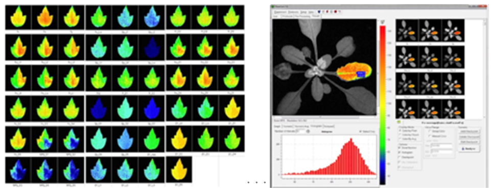 微信截圖_20220104161610.png 微信截圖_20220104161610.png