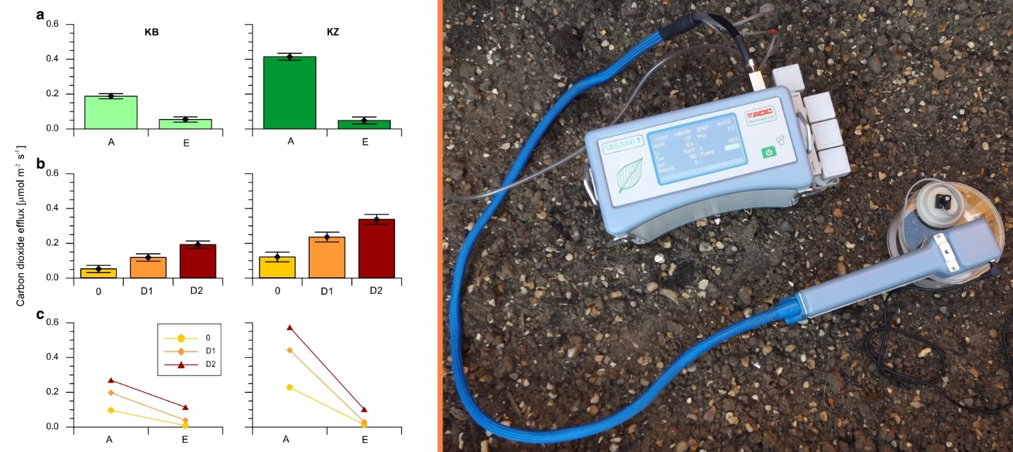 clip_image005.jpg clip_image005.jpg