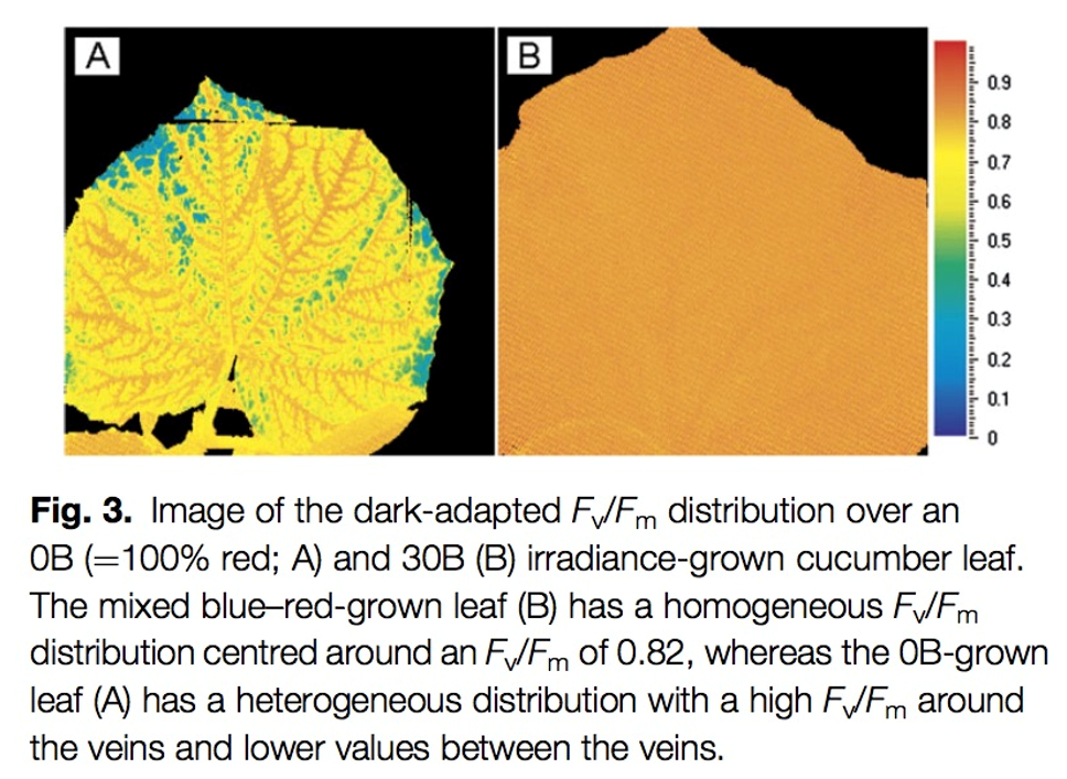微信截圖_20220610173323.png 微信截圖_20220610173323.png