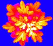 ../../../../../../../Desktop/市場(chǎng)營(yíng)銷/2018/快訊/Robin%20PSI/05