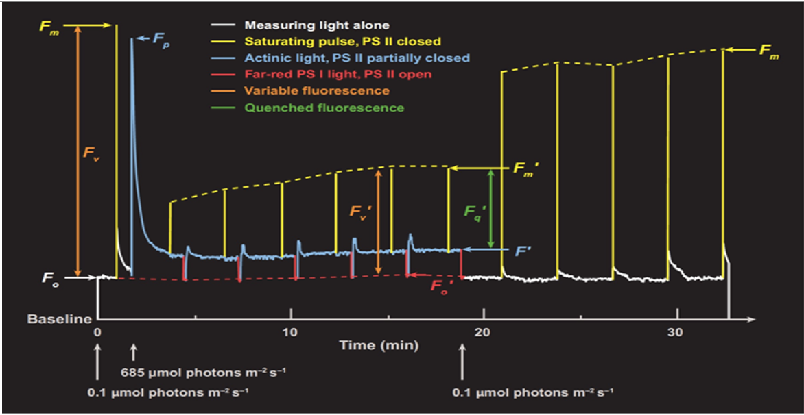 微信截圖_20220610173336.png 微信截圖_20220610173336.png