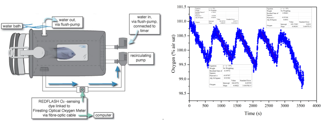 微信截圖_20220310114820.png 微信截圖_20220310114820.png